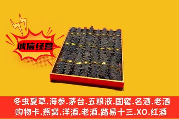 乌兰察布市化德县回收海参